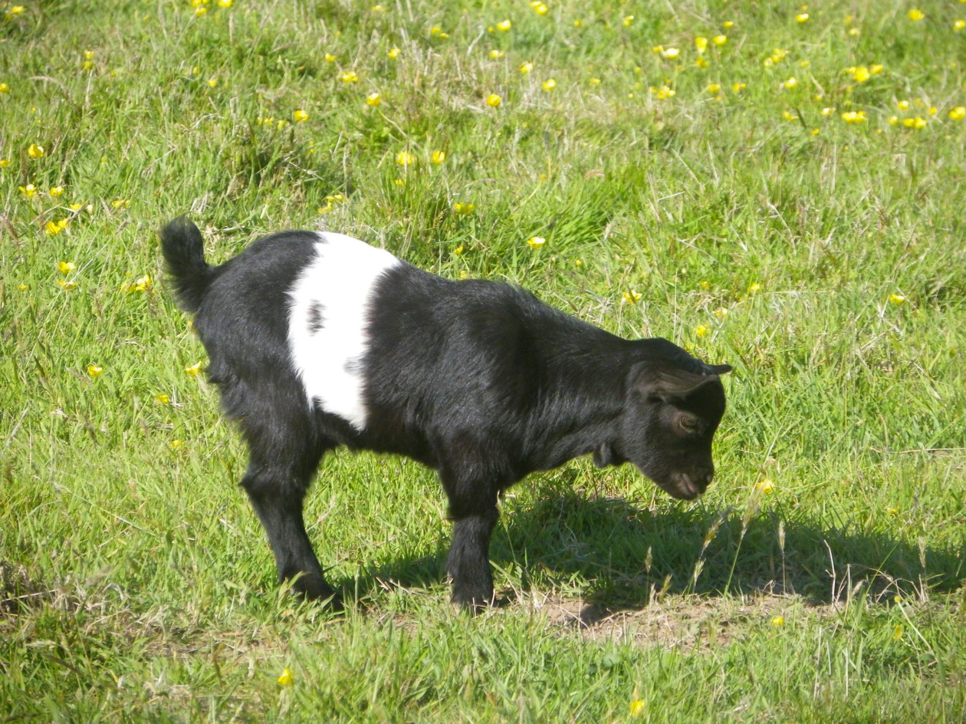 Imgp0407